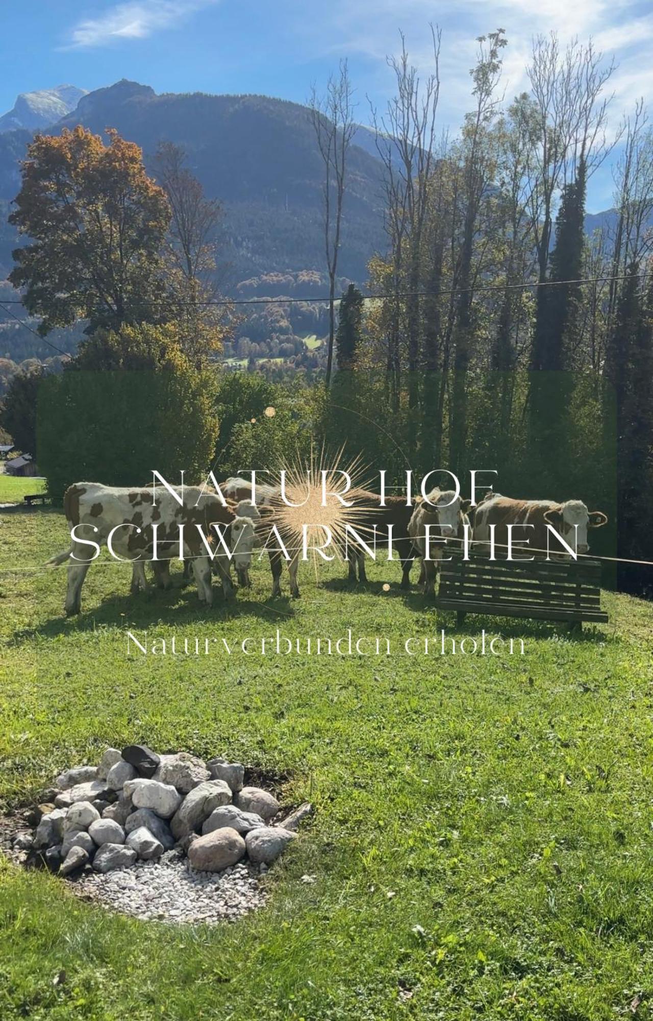 Natur Hof Schwarnlehen Berchtesgaden Extérieur photo