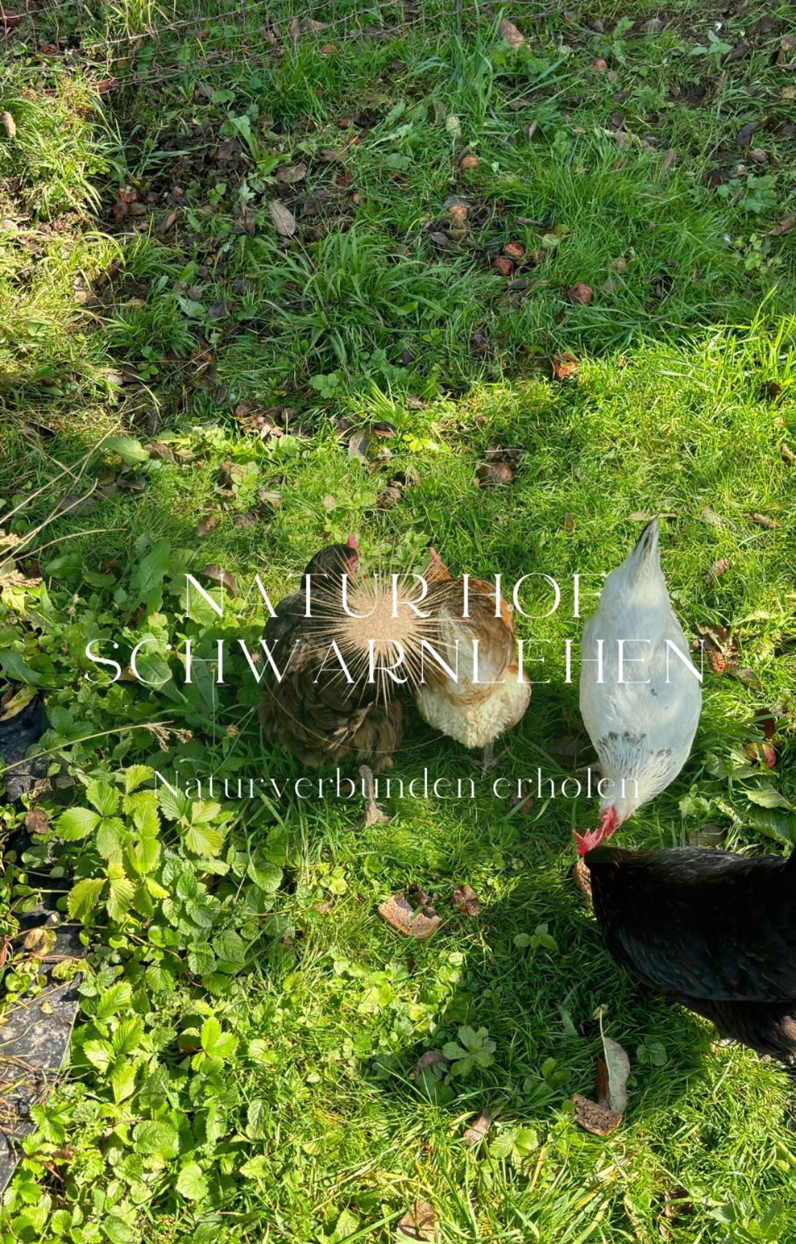 Natur Hof Schwarnlehen Berchtesgaden Extérieur photo